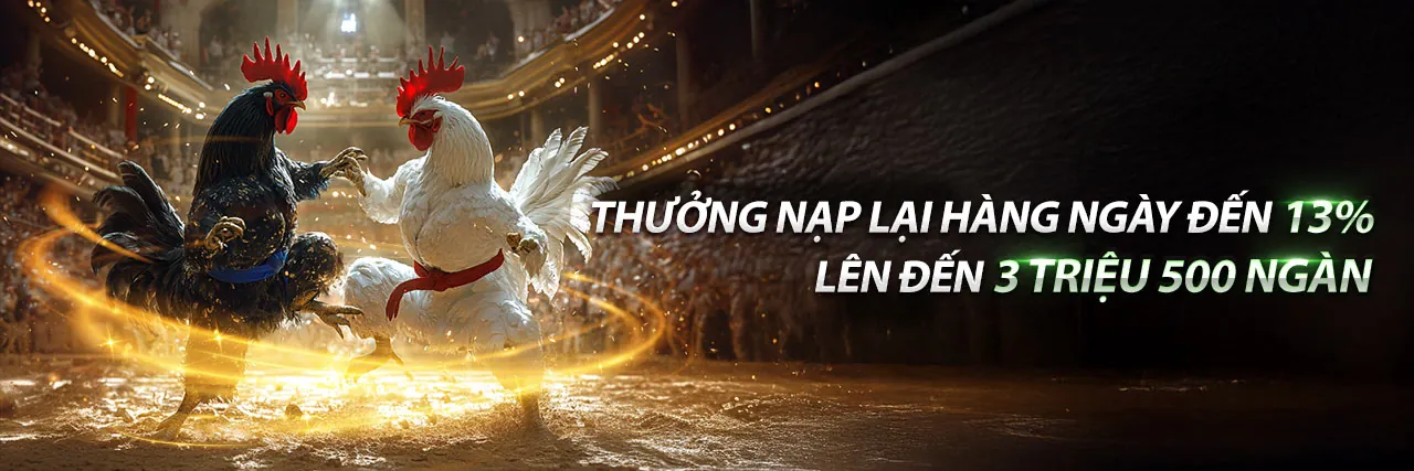 Hình ảnh chính chương trình thưởng hàng ngày pkvip88 code